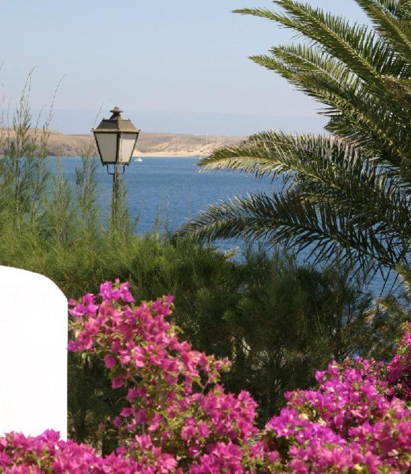 Villa Olga Playa Blanca  Extérieur photo